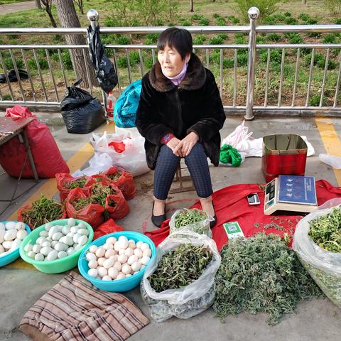 乌鸡价格走势