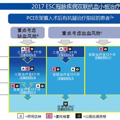 最新房颤指南